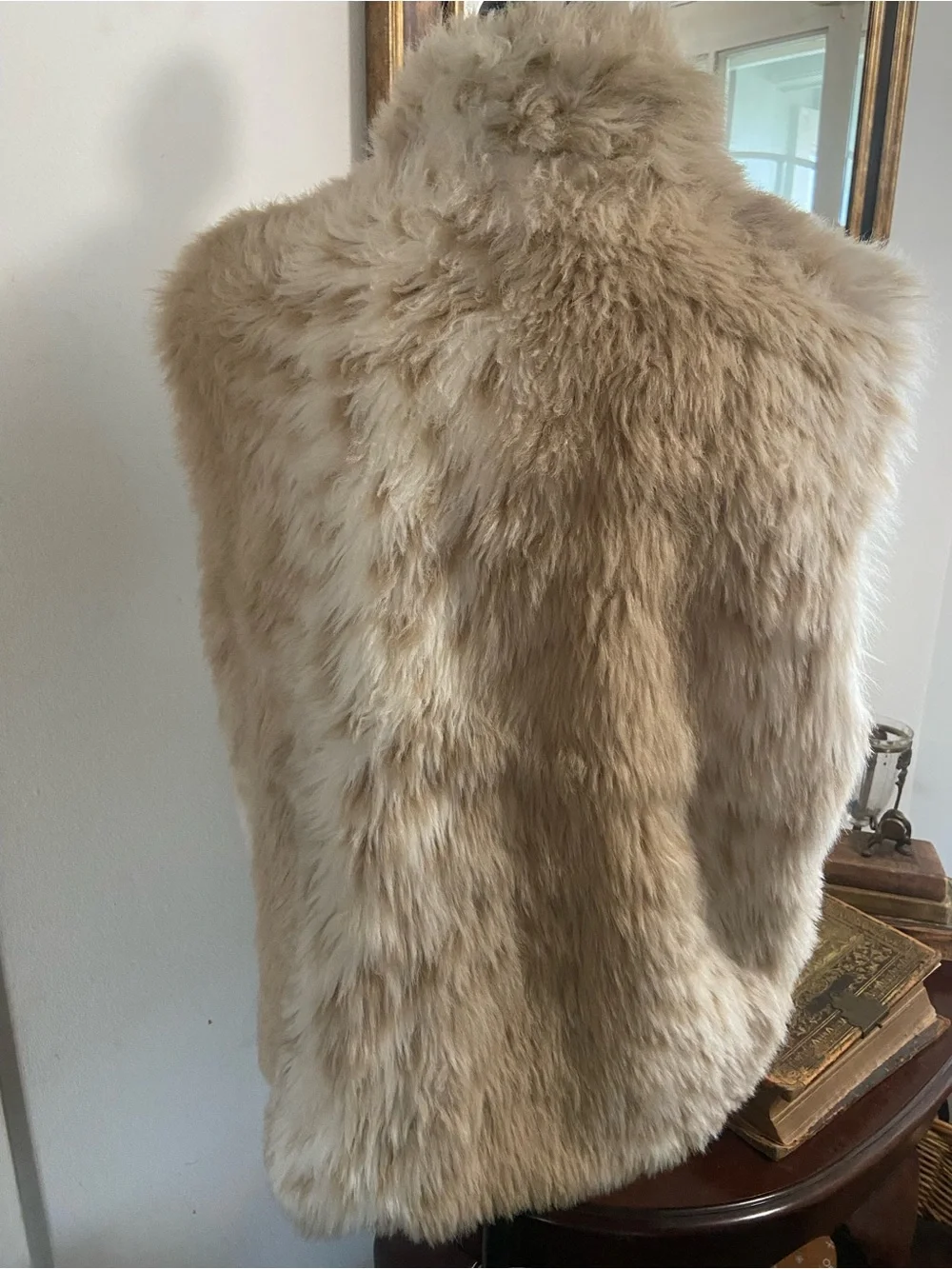 Plush Faux Fur Vest in Light Beige - Picture 2 of 5